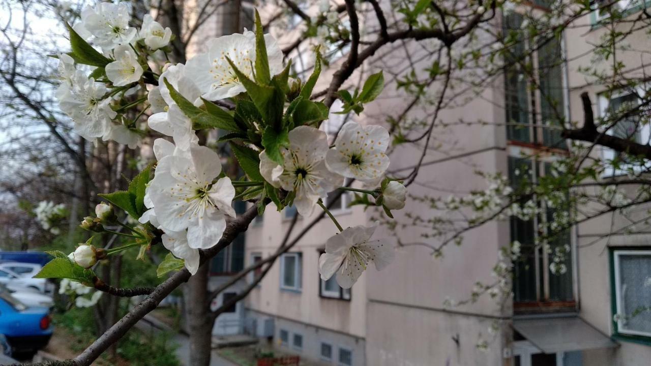 Gesztenyes Apartman Мишкольц Экстерьер фото
